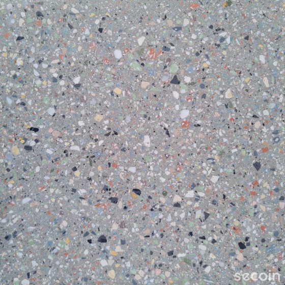 Xám đa sắc TR-01